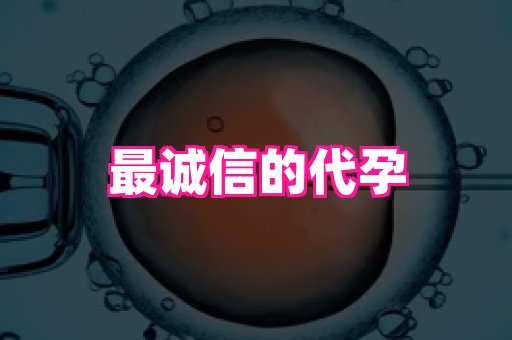 权威助孕网 1