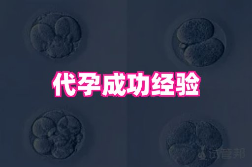权威助孕网 3